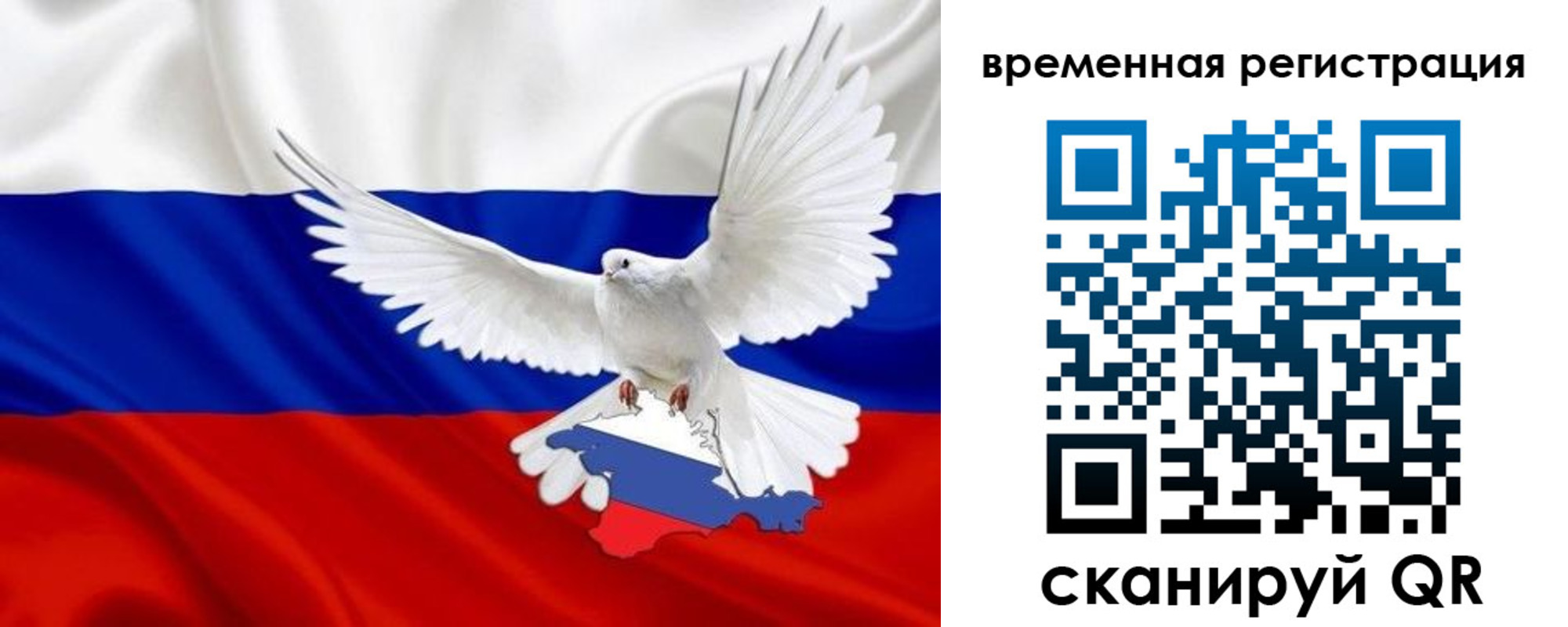 прописка законно в Кимрах